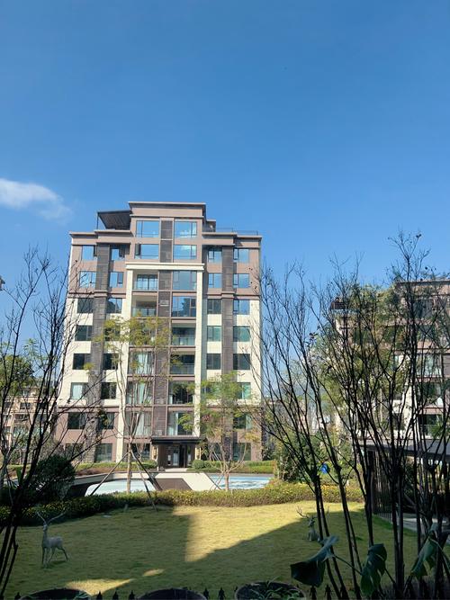 双流东升新楼盘