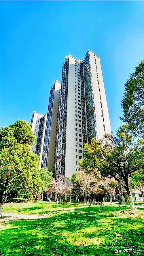 双流东升新楼盘