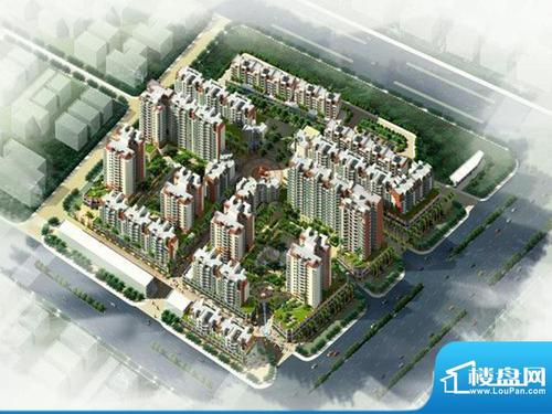 大丰镇新楼盘