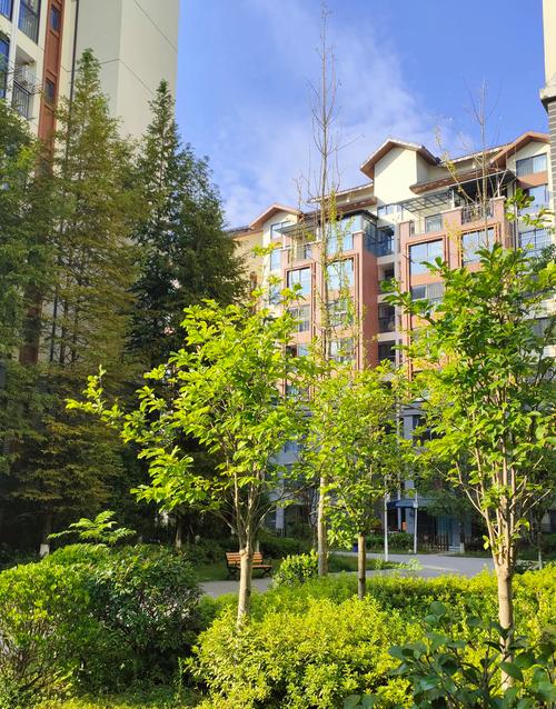 哈尔滨天鹅湖花园小区