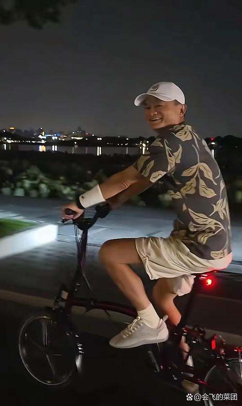 杭州湖畔花园 马云