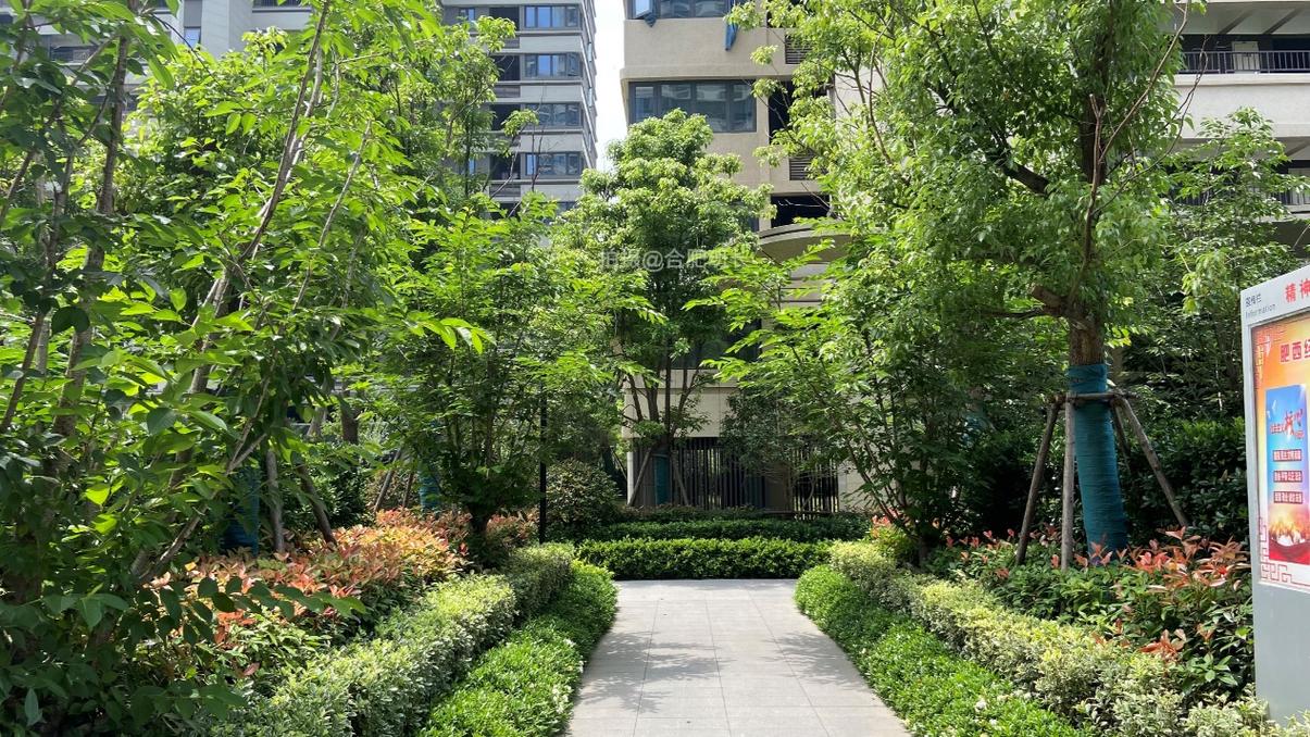 直播中国好楼盘