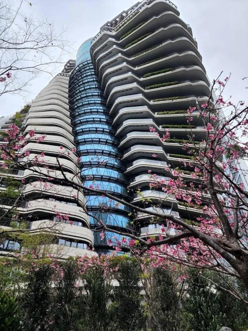 台北最贵的楼盘