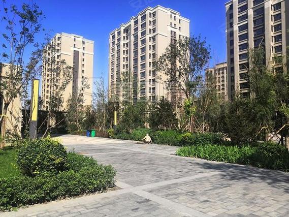 北京金玉府楼盘