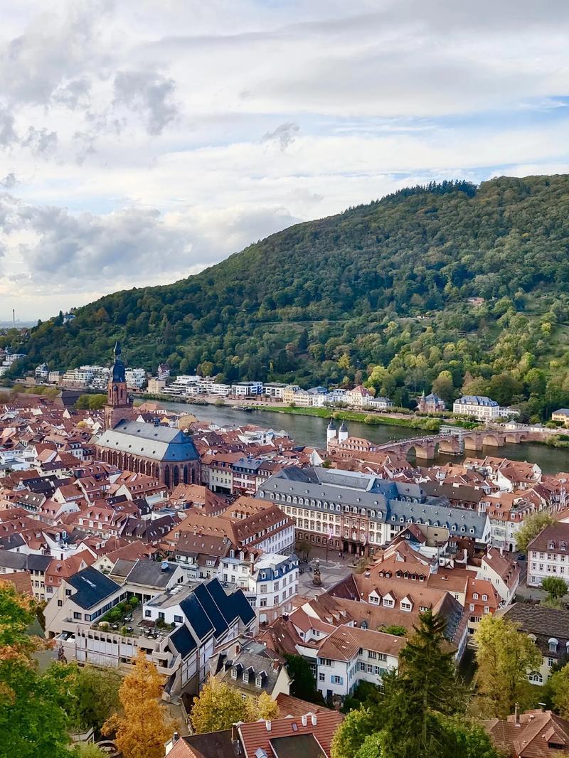 德国海德堡房价