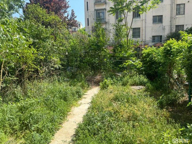 南京锦绣花园凶宅