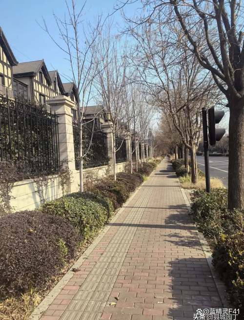 白沙洲花园小区