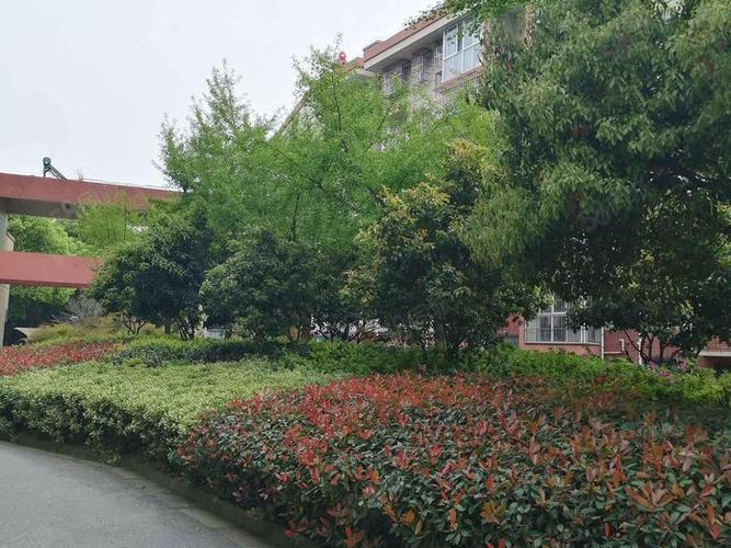 嘉善姚庄澳洲花园