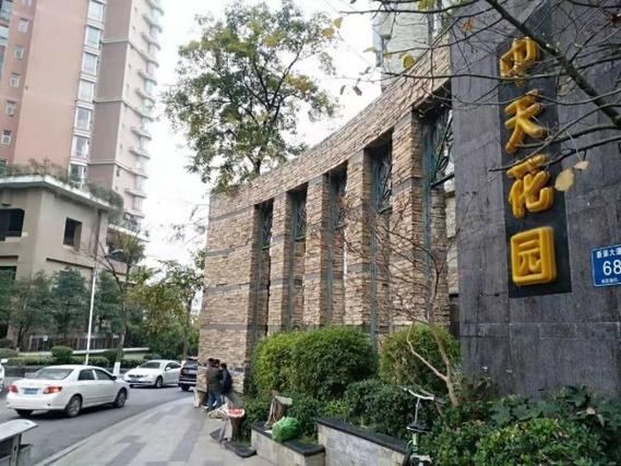 中天花园阳光玉兰