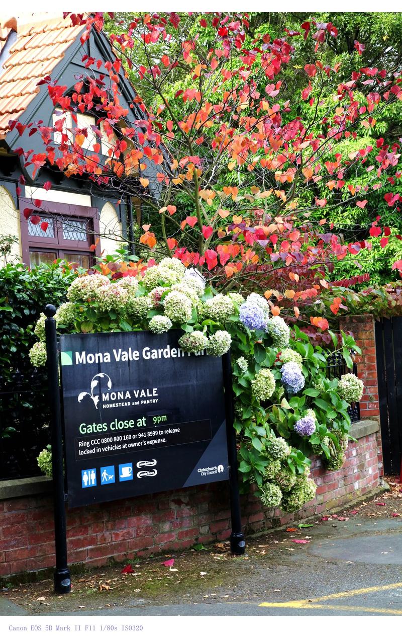 新西兰基督城房价