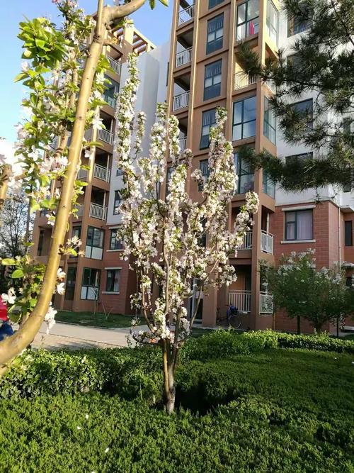 世纪花园全文阅读