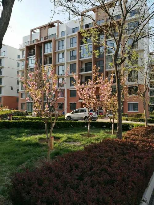 世纪花园全文阅读