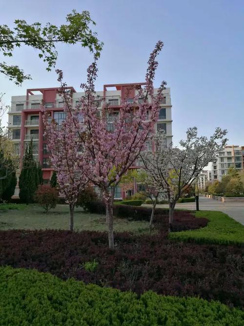 世纪花园全文阅读