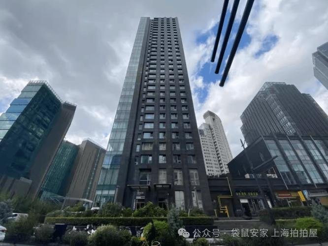 上海白金湾房价