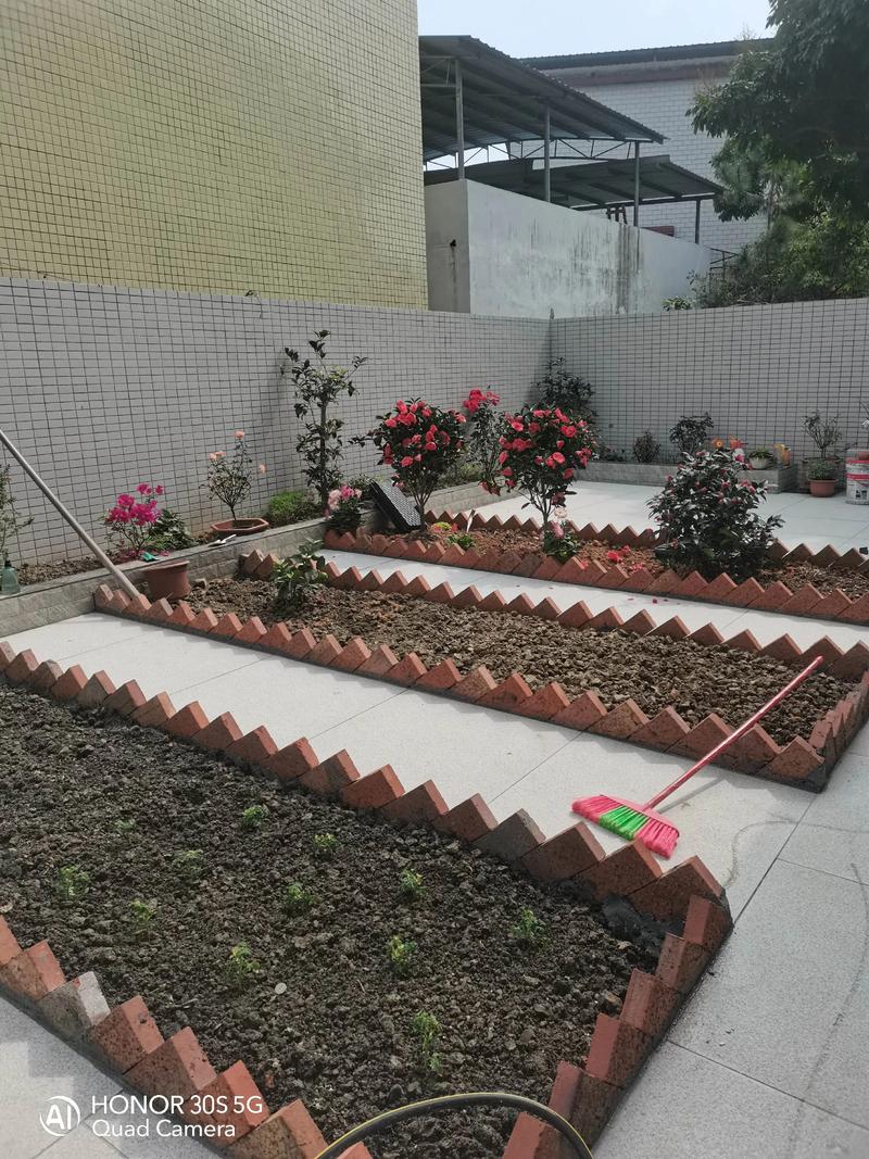 楼前小花园