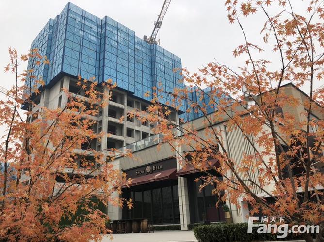 东西湖三店楼盘