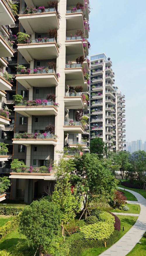 双流比较好的楼盘