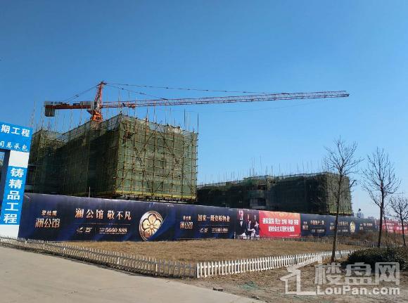 泊头即将开盘的楼盘