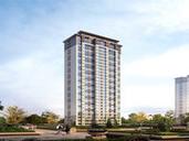 大连市新开楼盘