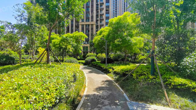 郑州金尊文苑楼盘