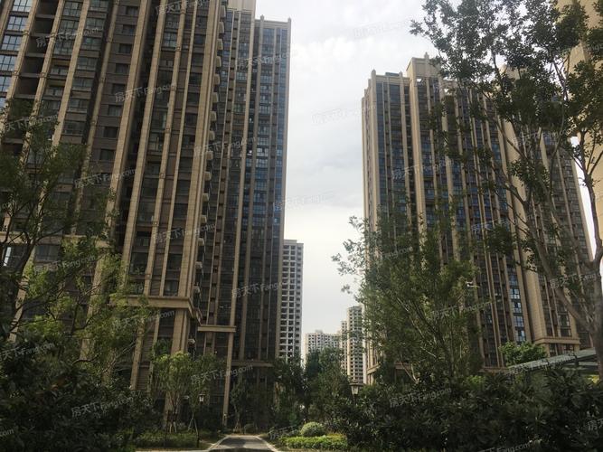 郑州金尊文苑楼盘