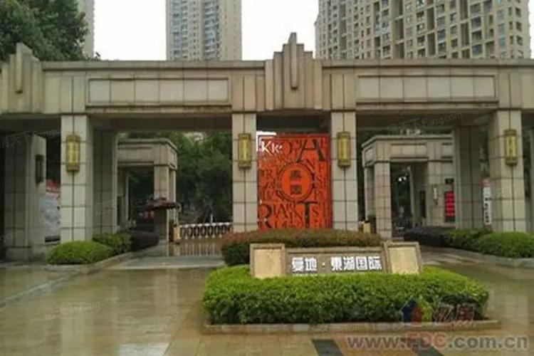 复地东湖国际房价