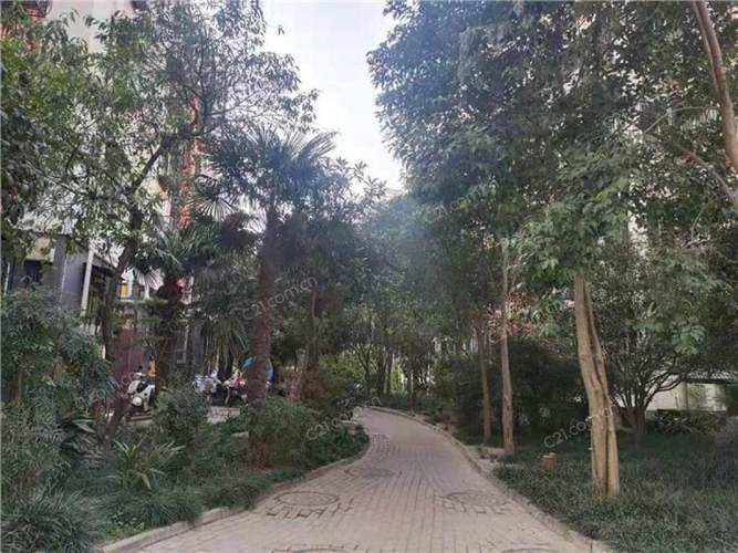 南阳天工牡丹花园