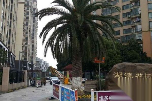 湖滨花园小区房价