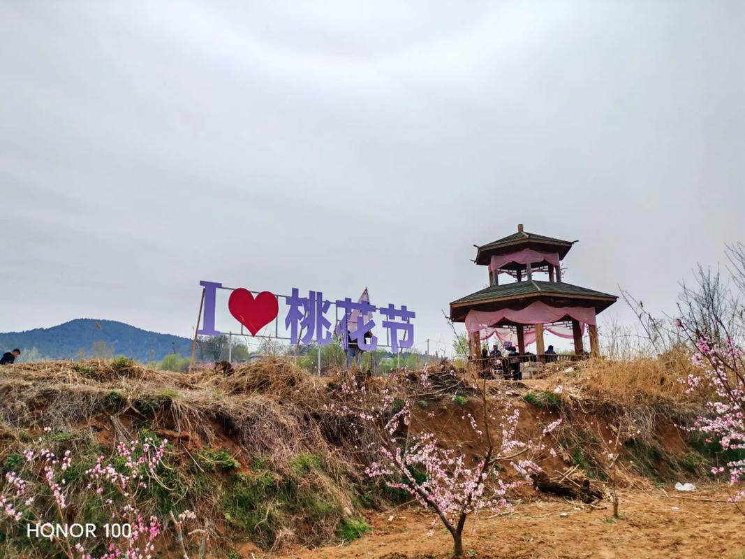 泰安桃花园