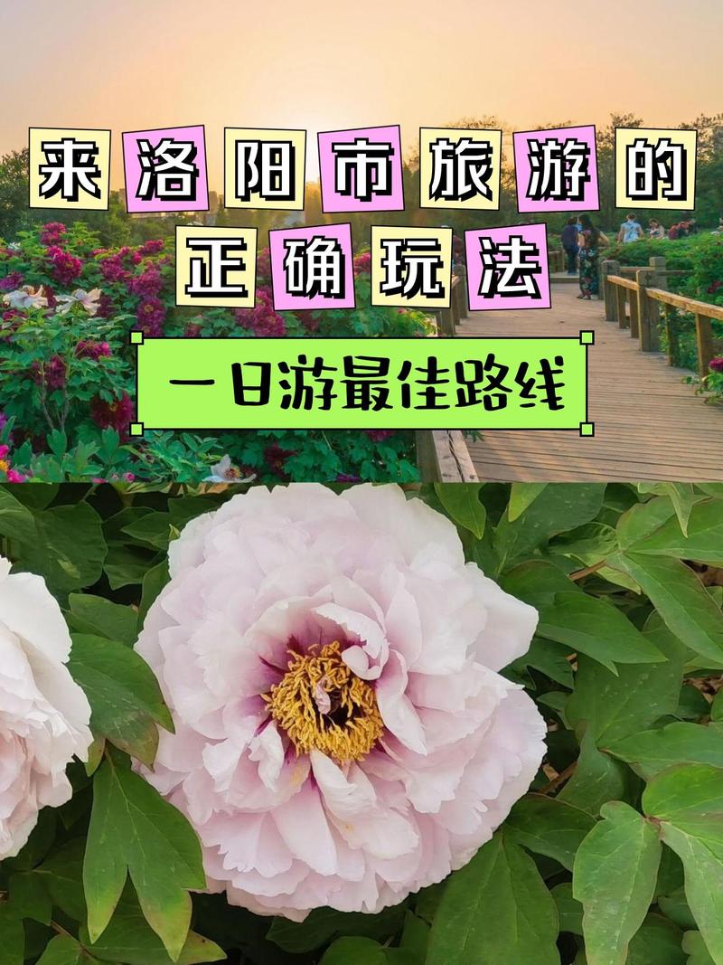 花园至洛阳