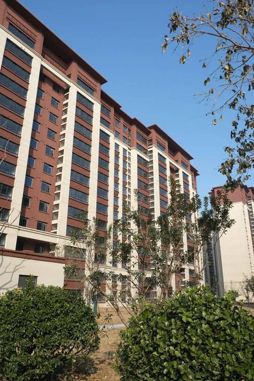 宁晋五证齐全的楼盘