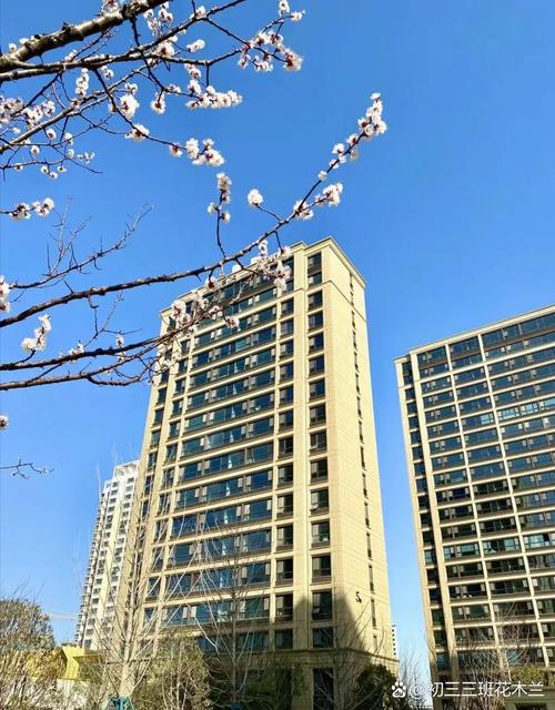 济南在售公寓楼盘